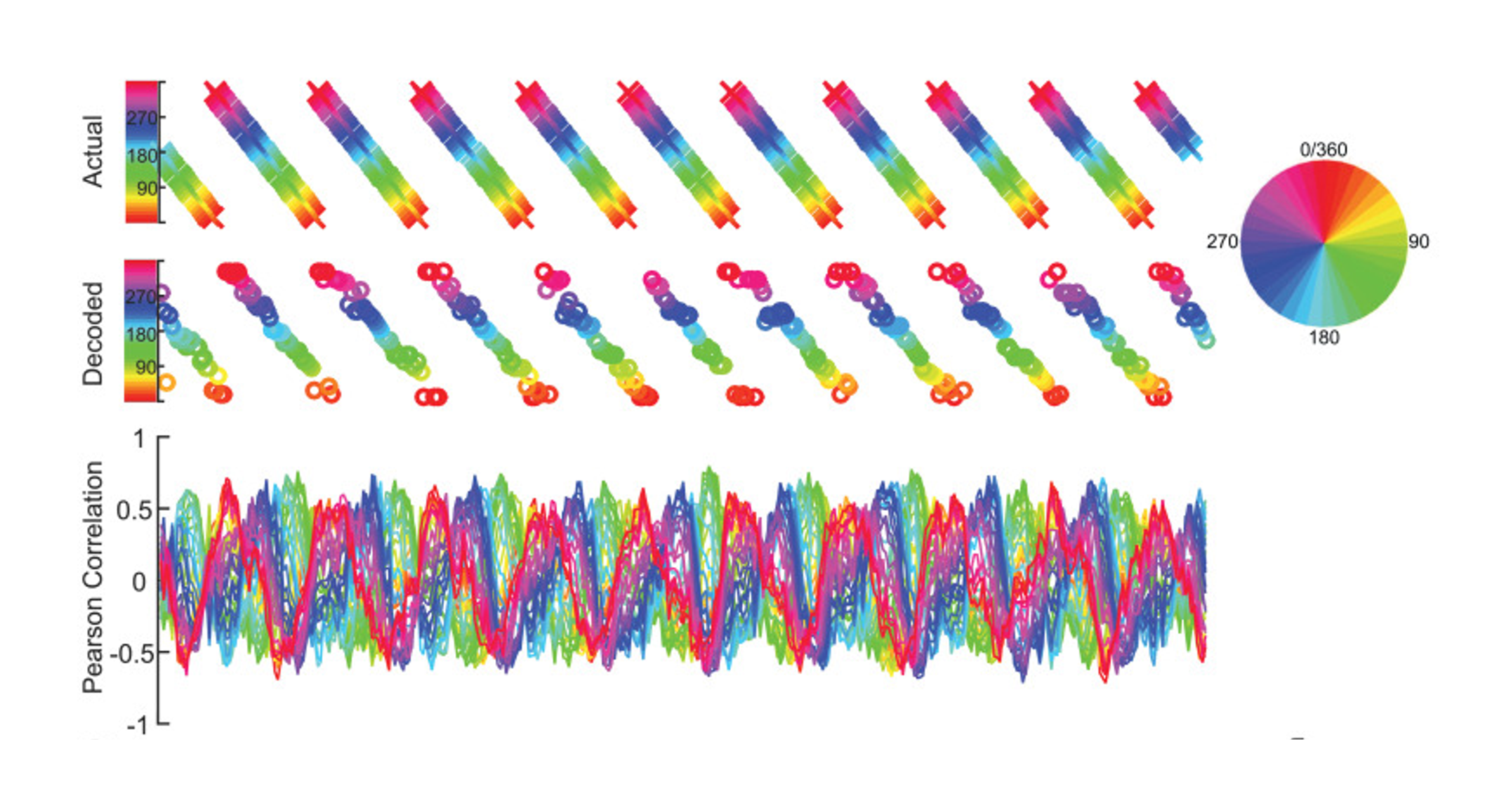 Decoding Visual Information from High Density Diffuse Optical Tomography Neuroimaging Data