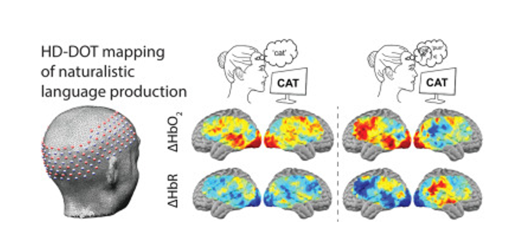 Mapping cortical activations underlying covert and overt language production