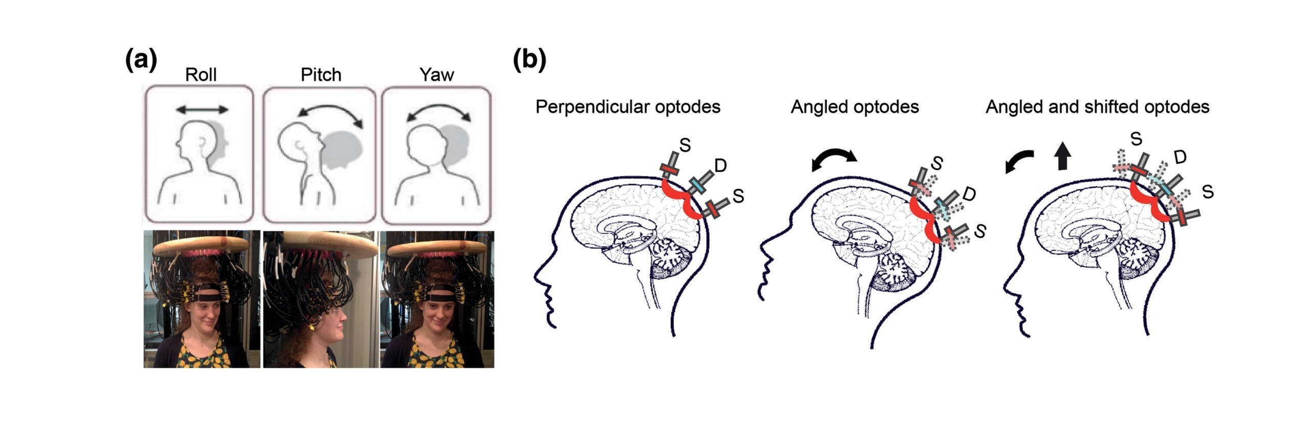Global motion detection and censoring in high-density diffuse optical tomography