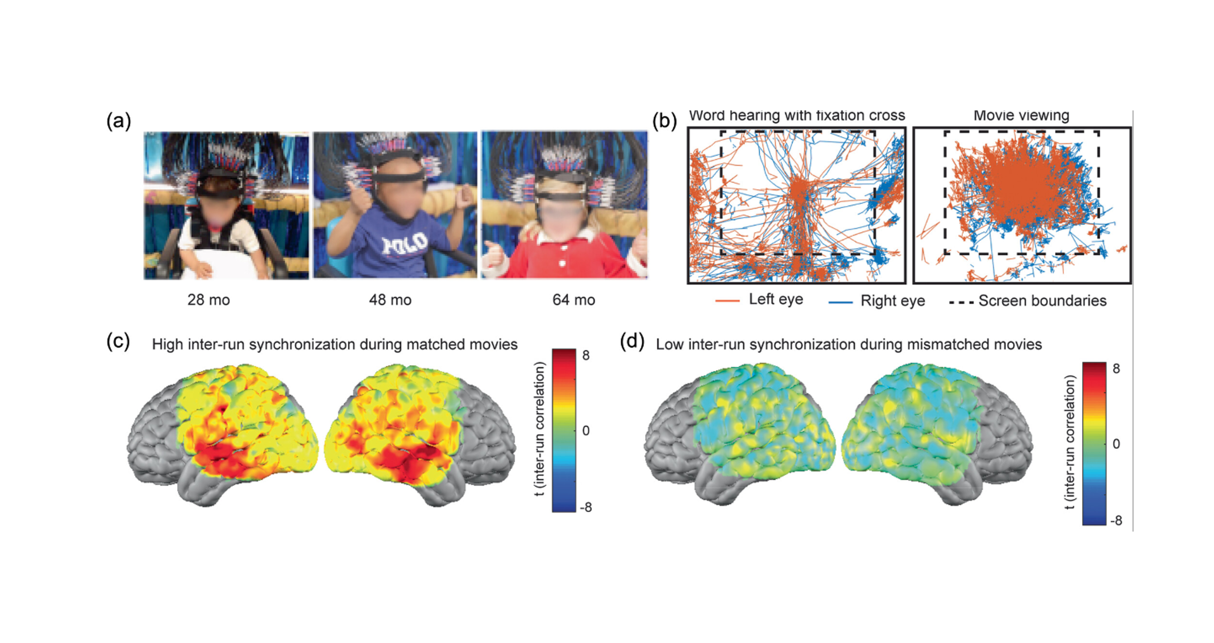 Mapping brain function in adults and young children during naturalistic viewing